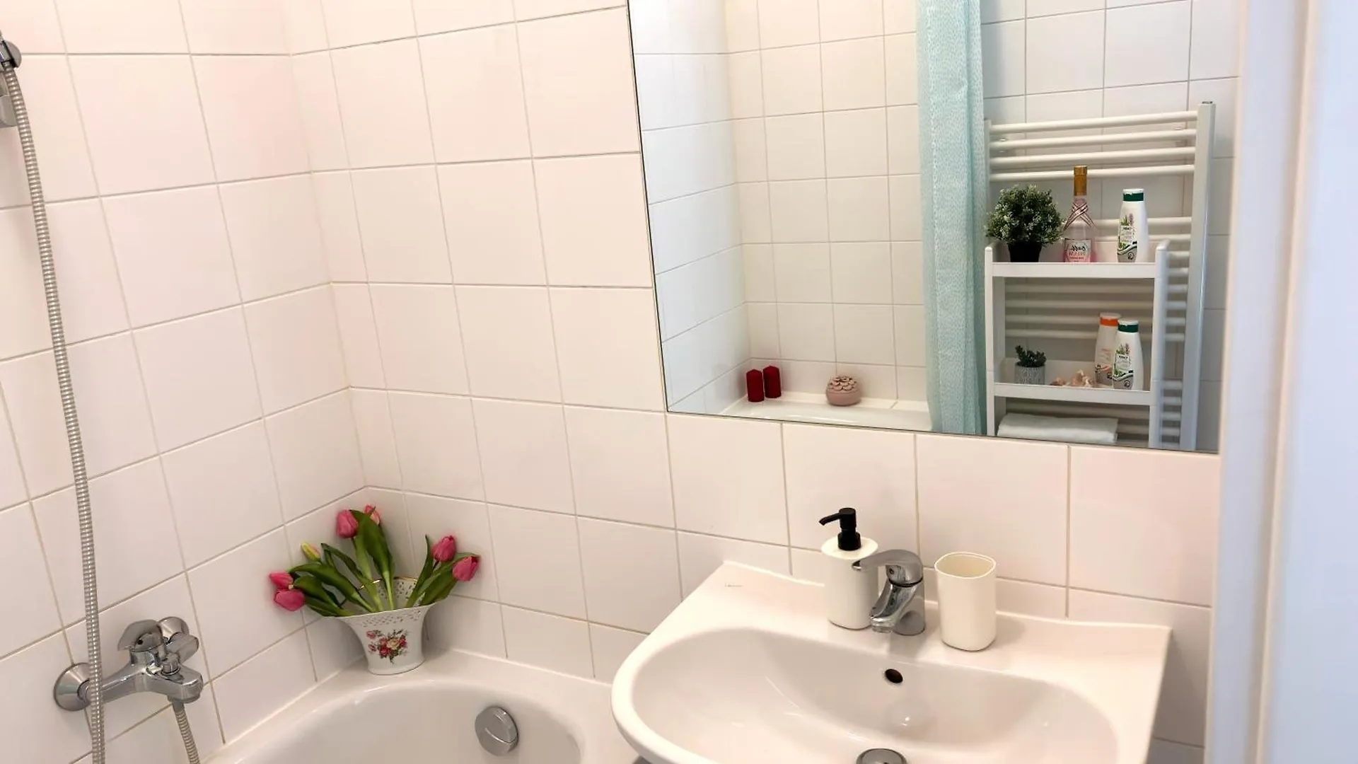 Central Mariahilfer Apartment 5 Min To The Schoenbrunn Palace And City Shopping Center Viena Austria