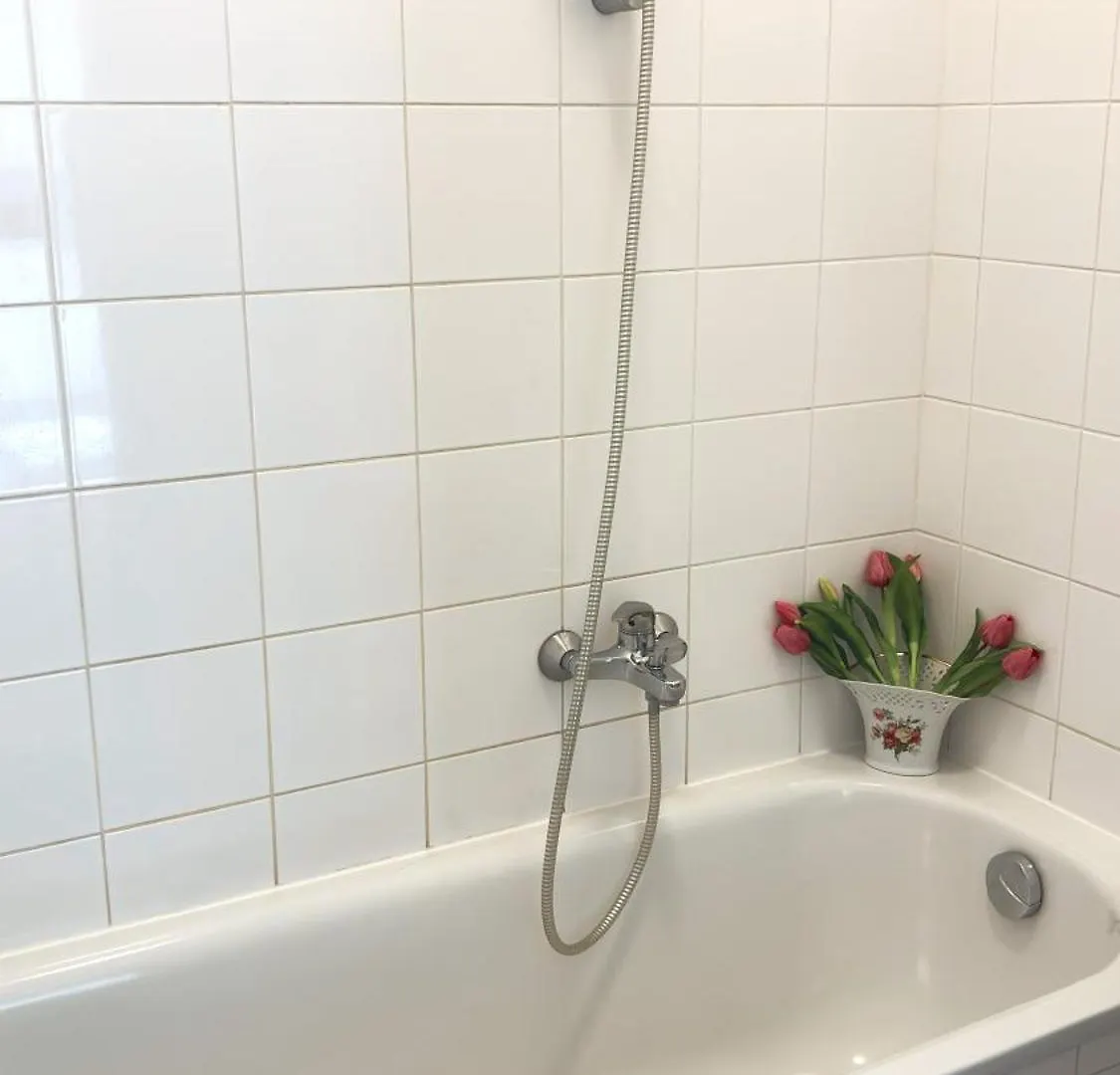 Central Mariahilfer Apartment 5 Min To The Schoenbrunn Palace And City Shopping Center Viena